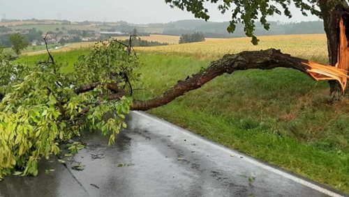 Bouřky zaměstnaly hasiče. Ve Středočeském kraji řešili během jediného dne téměř 400 událostí
