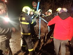 Záchrana jezdeckého koně z mříže na Frýdecko-Místecku