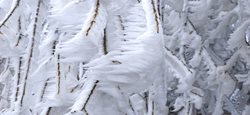 Varování meteorologů: Silný vítr, sněhové jazyky, nová sněhová pokrývka i náledí