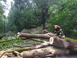 Po silné bouřce hasiči vyjížděli k zatopeným sklepům a popadaným stromům