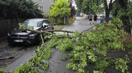 Bouřky zaměstnaly hasiče. V noci odstraňovali hlavně popadané stromy a čerpali vodu