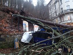 Popadané stromy poškodily zaparkovaná auta v Karlovarském kraji