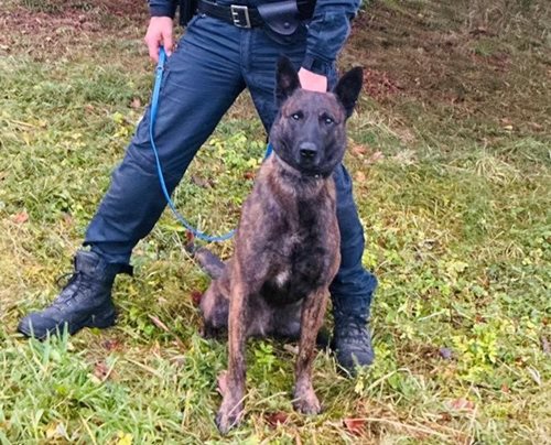 Dramatické pátrání po ztraceném chlapci skončilo včasným nálezem