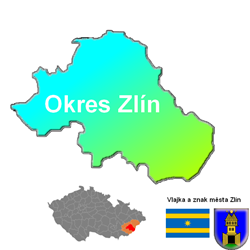 Chodkyně na přechodu byla sražena při dopravní nehodě.