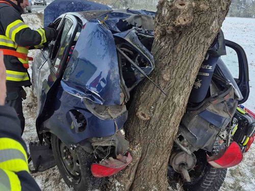 Pes v bezpečí: Zraněná řidička vyproštěna hasiči po nehodě