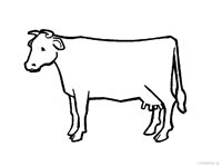 cosw.jpg