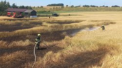 Třetí stupeň požárního poplachu u požáru u Jetětic a další požáry