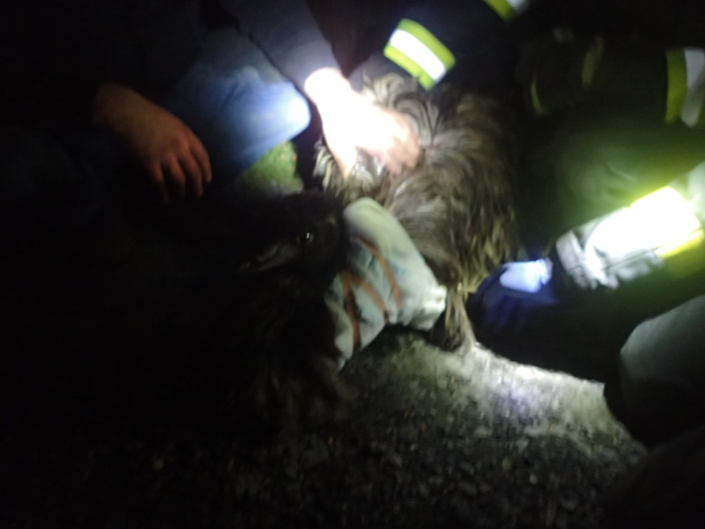 ViewImage-(11).jpg ViewImage-(11).jpg