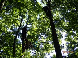 Hasiči s Horskou službou zachraňovali paraglidistu z buku