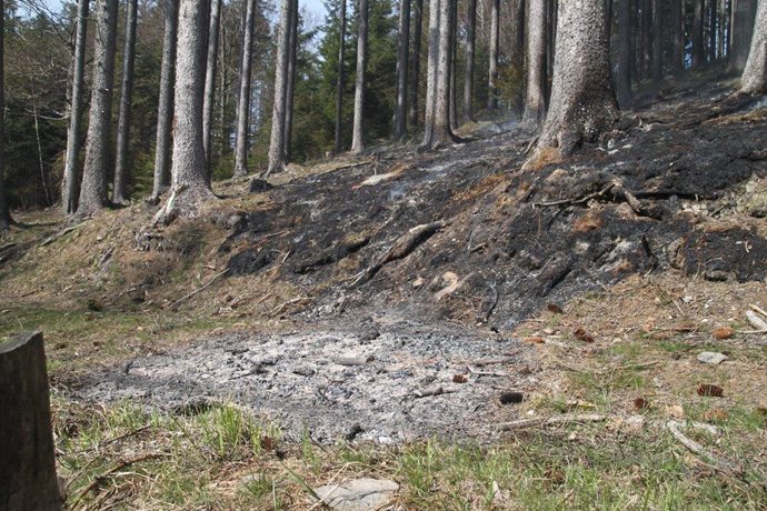 stazeny-soubor-(2).jpg