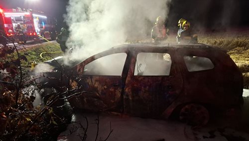 Po nárazu do stromu začalo auto hořet. Řidička stihla utéct včas