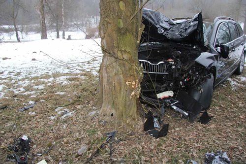 Řidič utrpěl smrtelné zranění při nárazu do stromu