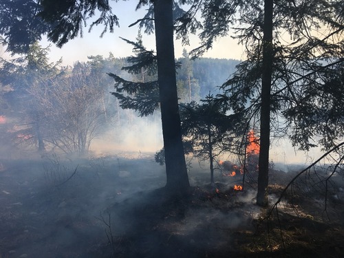 Nejen větrné počasí ale i požáry zaměstnaly hasiče