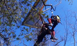 Záchrana zraněného rogalisty ze stromu u Černošic
