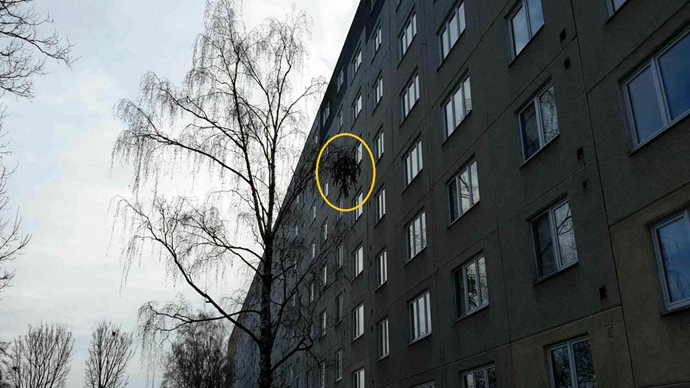 ViewImage-aspx.jpg ViewImage-aspx.jpg
