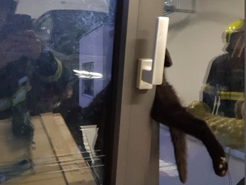 Zvědavost málem stála kočku život: Ventilačka se změnila v past