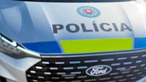 Matka zoufale volala o pomoc. Policisté vytáhli tonoucí dítě z kanalizační šachty