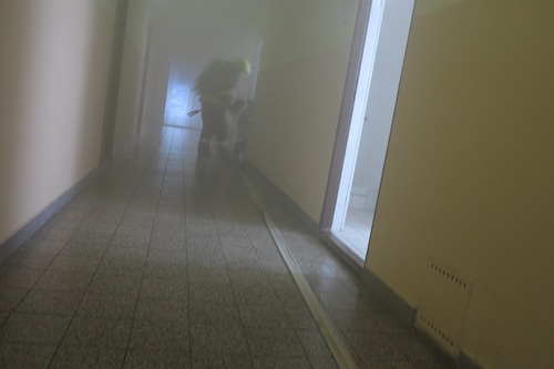 36080.jpg 36080.jpg