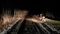 Komplikace v dopravě kvůli sněžení a větru v Olomouckém kraji/VIDEO