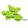 6.png 6.png