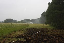 Celou noc ze soboty na neděli strávili Jihočeští hasiči  u požáru lesa u Jílovic