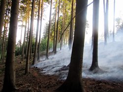 Požár lesa v Lačnově na Zlínsku zaměstnal 7 jednotek hasičů