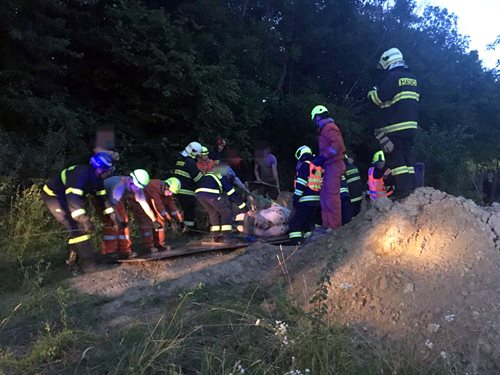 V Jankovicích zachraňovali hasiči koně z výkopu