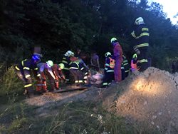 V Jankovicích zachraňovali hasiči koně z výkopu