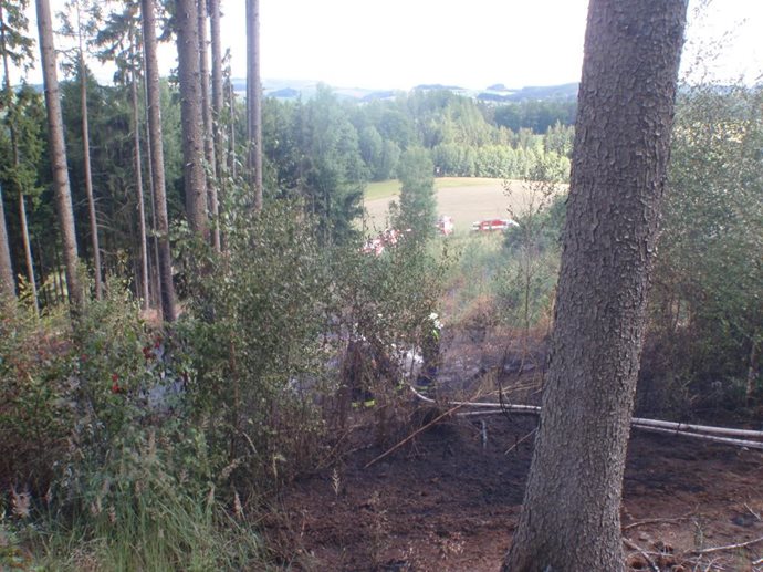 vidochov1.jpg vidochov1.jpg
