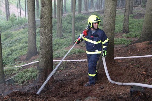 Požár lesního porostu a obilí na poli