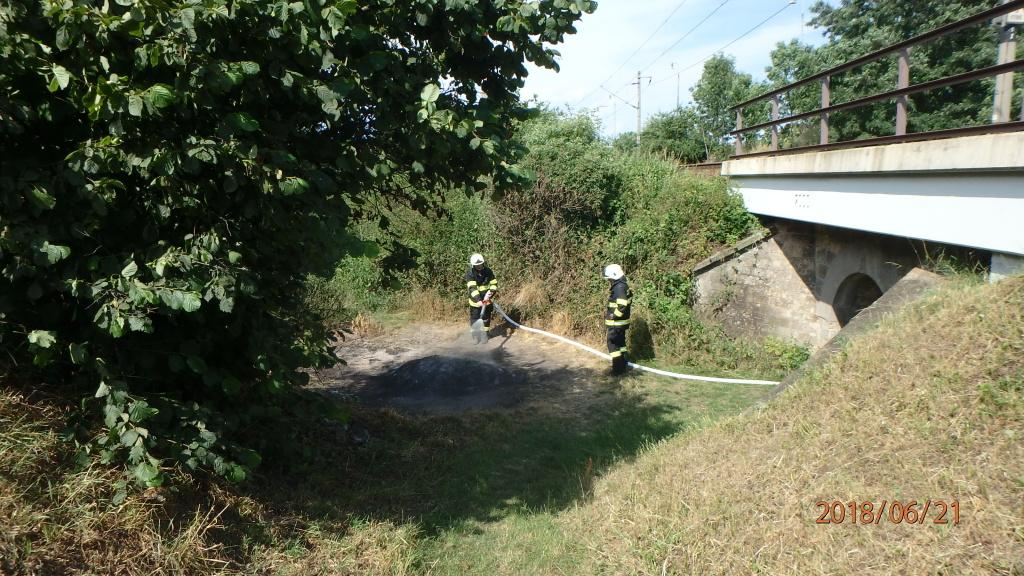 holohlavy-(1).jpg holohlavy-(1).jpg