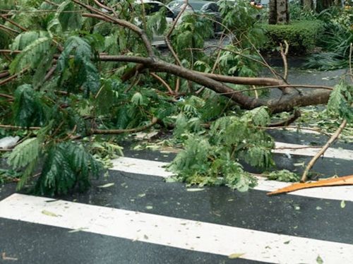 Silný vítr zasáhne velkou část Česka. Meteorologové varují před nebezpečnými poryvy