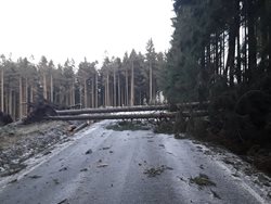 Hasiči i dnes likvidují následky silného větru