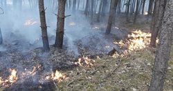 Nedostatečně uhašené ohniště zapříčinilo požár lesa na Třebíčsku