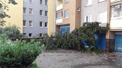 Bouřka řádila  Prostějově , hasiči  zasahovali u spadaných stromů i čerpali vodu  