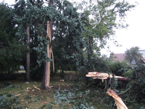 Požár stromu po zásahu bleskem. Kmen druhého blesk rozštípl