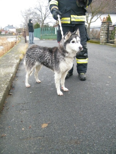 ViewImage-(15).jpg ViewImage-(15).jpg