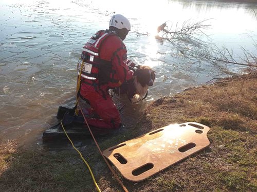 Pes uvízl v ledové pasti. Hasiči zasáhli včas
