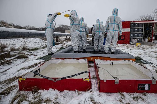 Potvrzen výskyt vysoce patogenní ptačí chřipky vyžádal zásah hasičů