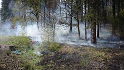 Požár kolem železniční tratě u Ostrova komplikoval špatně přístupný terén