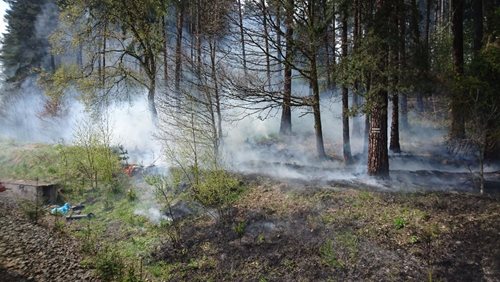 Požár kolem železniční tratě u Ostrova komplikoval špatně přístupný terén