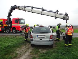 Bizon vyprošťoval na okraji Ostravy Renault Scénic na střeše