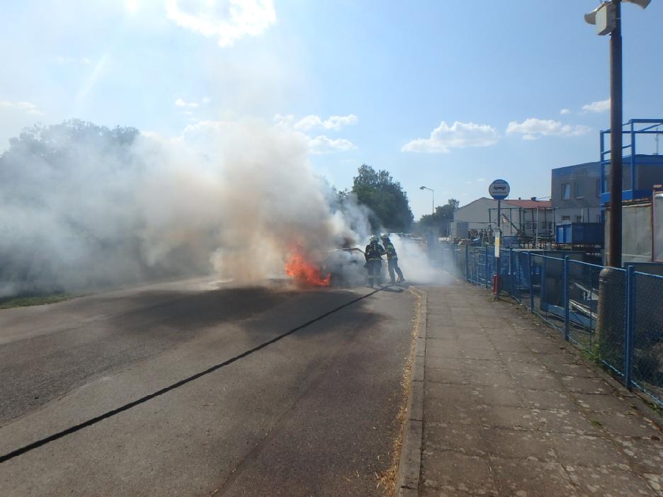 cernikovice2-(1).jpg cernikovice2-(1).jpg