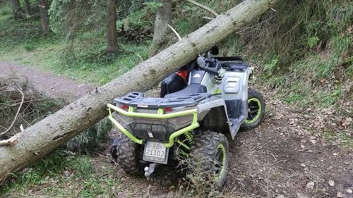 Domů se už nevrátil. Pátrání po muži skončilo v lesním porostu tragicky