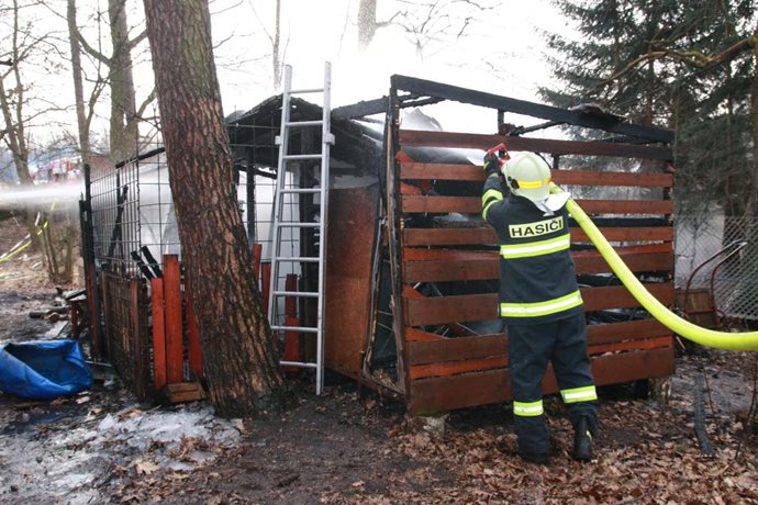 borohradek-1.jpg