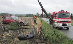 Vozidlo přerazilo strom. O zraněného řidiče se postarali záchranáři
