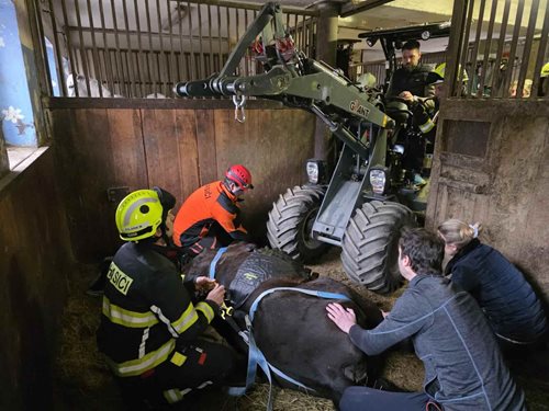 Hasiči pomohli bezmocnému koni zpět na nohy