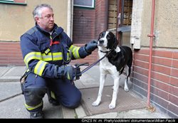Při požáru bytu v Praze v ul. U Smaltovny bylo zachráněno 9 osob, 3 psi a 2 kočky