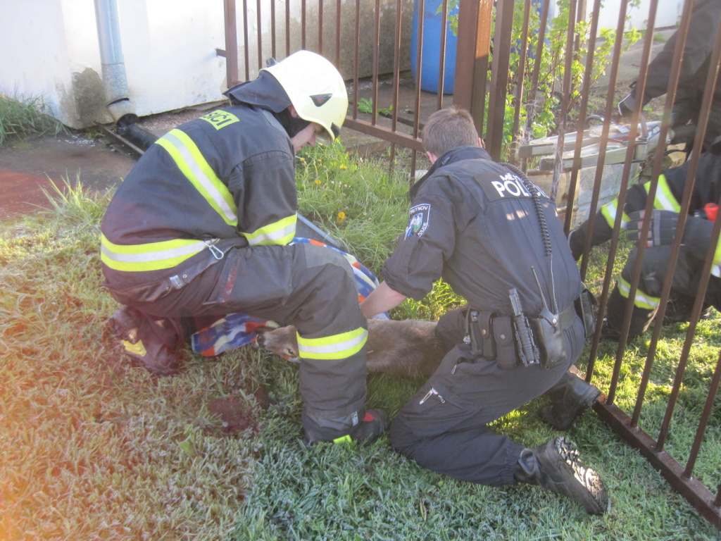 17-04-30-Trutnov-(4).jpg 17-04-30-Trutnov-(4).jpg