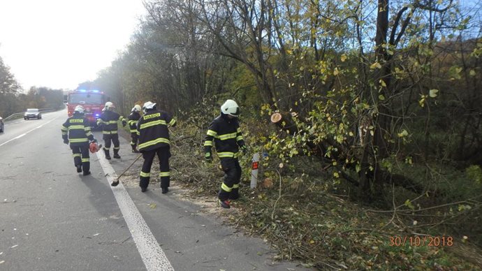 POTSTEJN1-(1).jpg